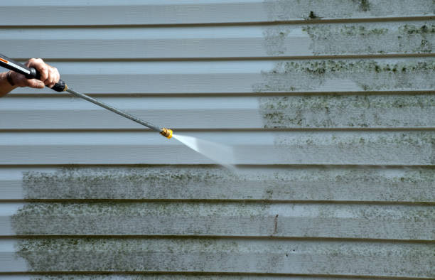 Best Roof Washing  in Kingsland, TX